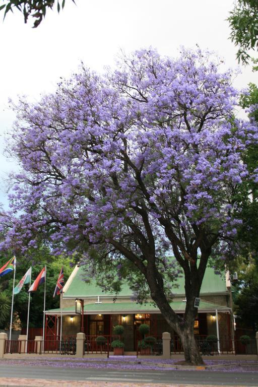 88 Baron Van Reede Guesthouse Oudtshoorn Eksteriør billede