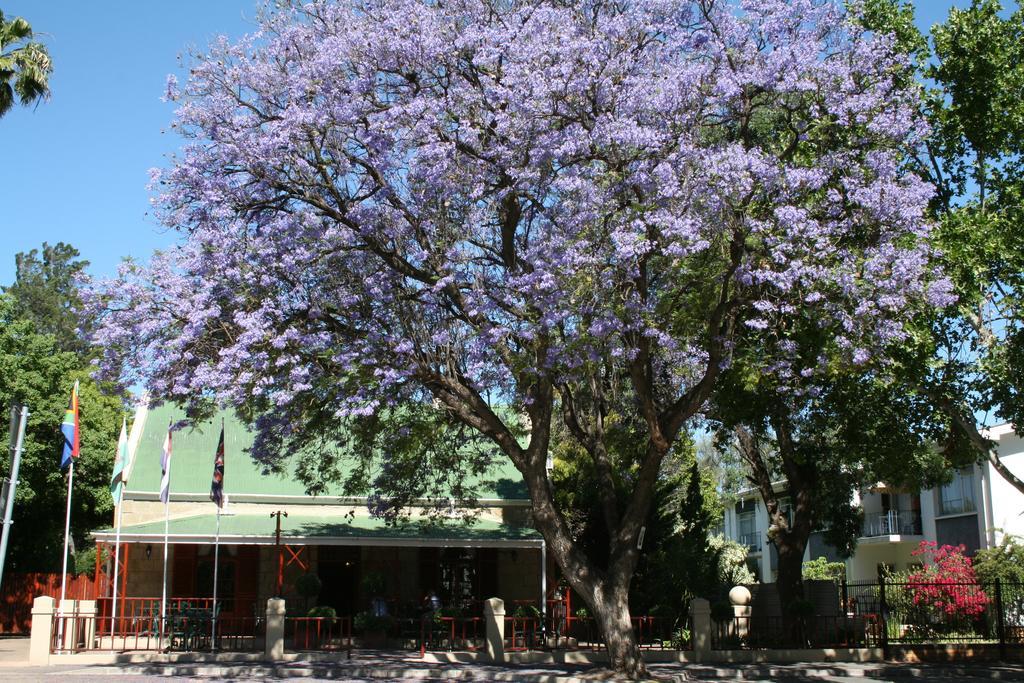 88 Baron Van Reede Guesthouse Oudtshoorn Eksteriør billede